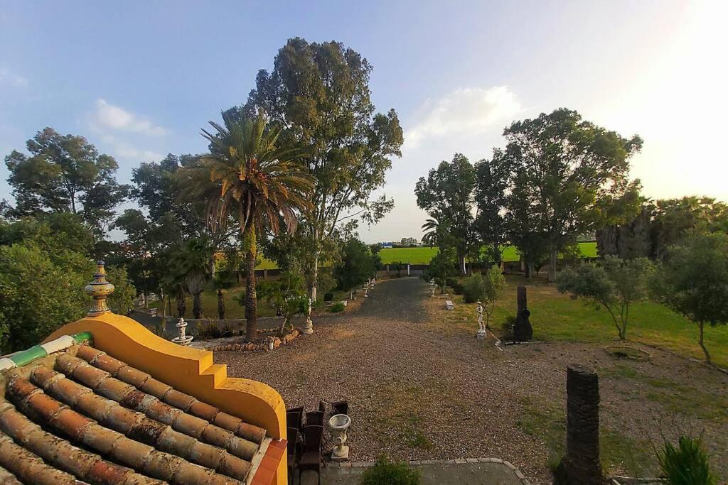 塞维利亚Cortijo San Jose别墅 外观 照片